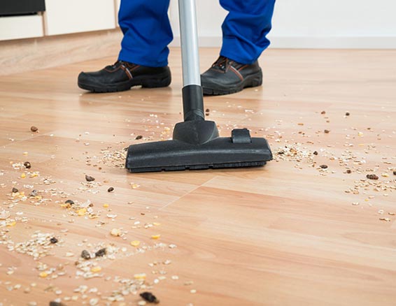 calihardwood Staff working